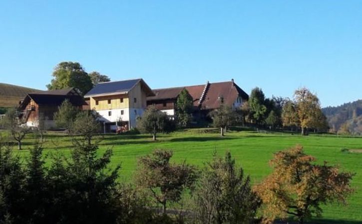 Ferienwohnungen Ferienhuser Emmental Interhome Ferienwohnungen Ferienhuser Emmental Interhome