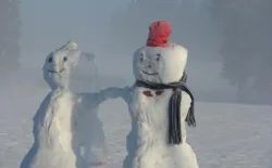 Bild 35: Winterbeziehung