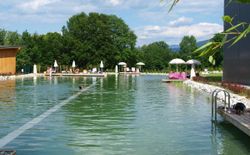 Bild 3: herrlicher Schwimmteich bei uns im Feriendorf