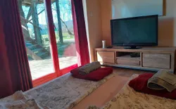 Bild 42