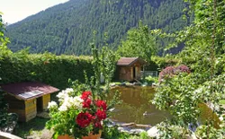 Bild 24
