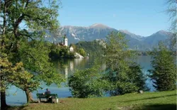 Bild 37