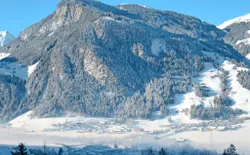 Bild 19