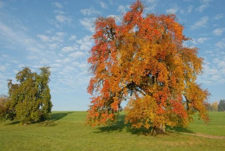 Moderne 3-Zimmer-Wohnung im Grünen, Bodensee-Thurgau
