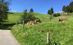 Bild 17