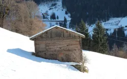 Bild 19