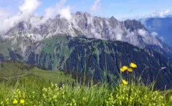 Bild 29