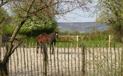 Bild 14