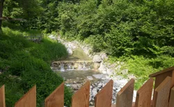 Bild 16