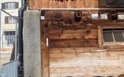 Bild 5: Beste Freunde in Savognin Dorf