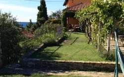 Bild 5: Garten