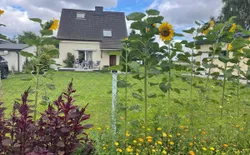 Gemütliche Ferienwohnung in Rozwarowo mit Schöner Terrasse, Bild 1