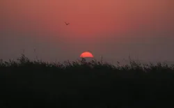 Bild 12: Sonnenaufgang über dem Bodden