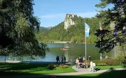 Bild 48