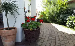 Bild 22