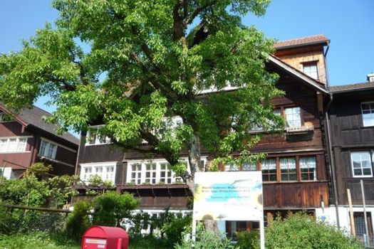 Ferienwohnungen St Gallen Und Umgebung Preiswert Mieten