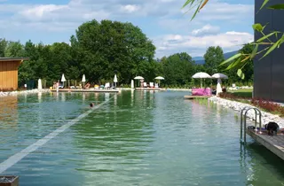 Bild 2: und am Morgen noch vor dem Frühstück ein paar Runden schwimmen im Schwimmteich unseres Feriendorfes