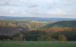 Bild 19