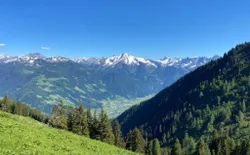 Bild 12