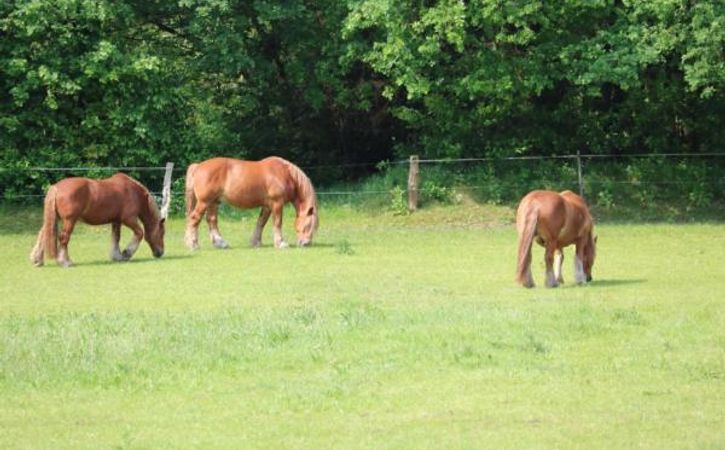 Exclusives einmaliges Landhaus "MeerZeit"! In Alleinlage mit 10.000 qm