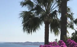 Bild 20: Ausblick aus dem Fenster. Blick von der Küche nach Fuengirola