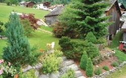 Bild 7