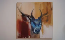 Bild 14