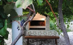 Bild 49: Garten
