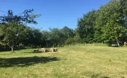 Bild 23: Grillplatz mit Sitzgelegenheiten