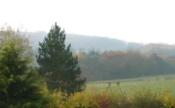 Bild 15: Garten