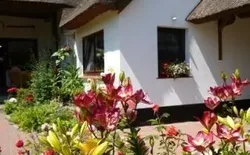 Morgensünn - Nette Wohnung in Althagen mit Terrasse, Bild 1: FeWO \
