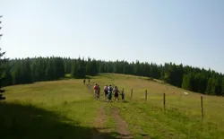 Bild 11: die Umgebung