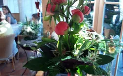 Bild 15: Wohnbereich