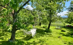 Bild 24