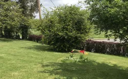 Bild 18