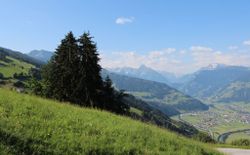 Bild 41
