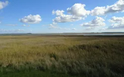Bild 19: erleben Sie die Schönheit dieser Landschaft ...