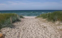 Bild 16