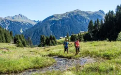 Bild 34