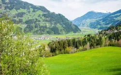 Bild 19