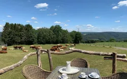 Bild 12: Terrasse