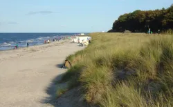 Bild 32: Strand in Zingst