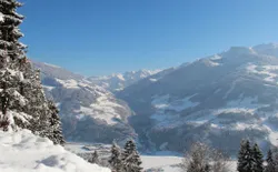 Bild 44