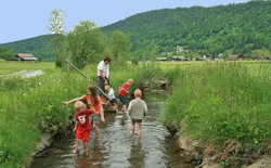 Bild 17