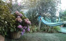 Bild 25: Terrasse. Detail