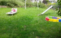 Bild 10: große Spielwiese