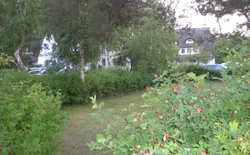 Bild 25