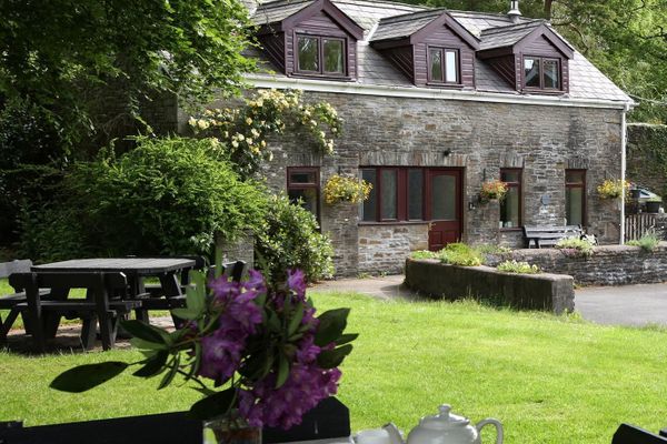 Luxus Ferienhaus Ferienwohnung In West Wales Buchen