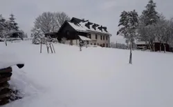 Bild 36
