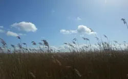 Bild 25: Ort allgemein. Bodden